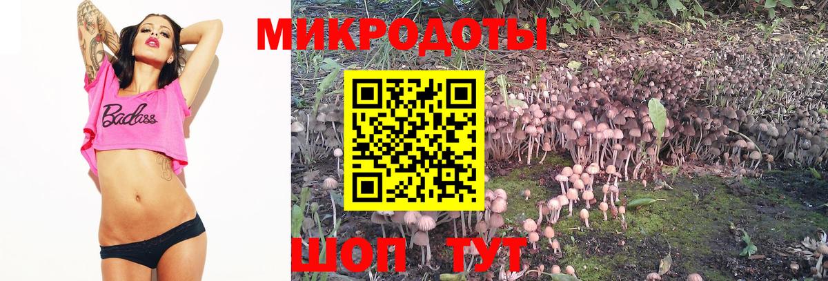 Псилоцибиновые грибы GOLDEN TEACHER Коломна