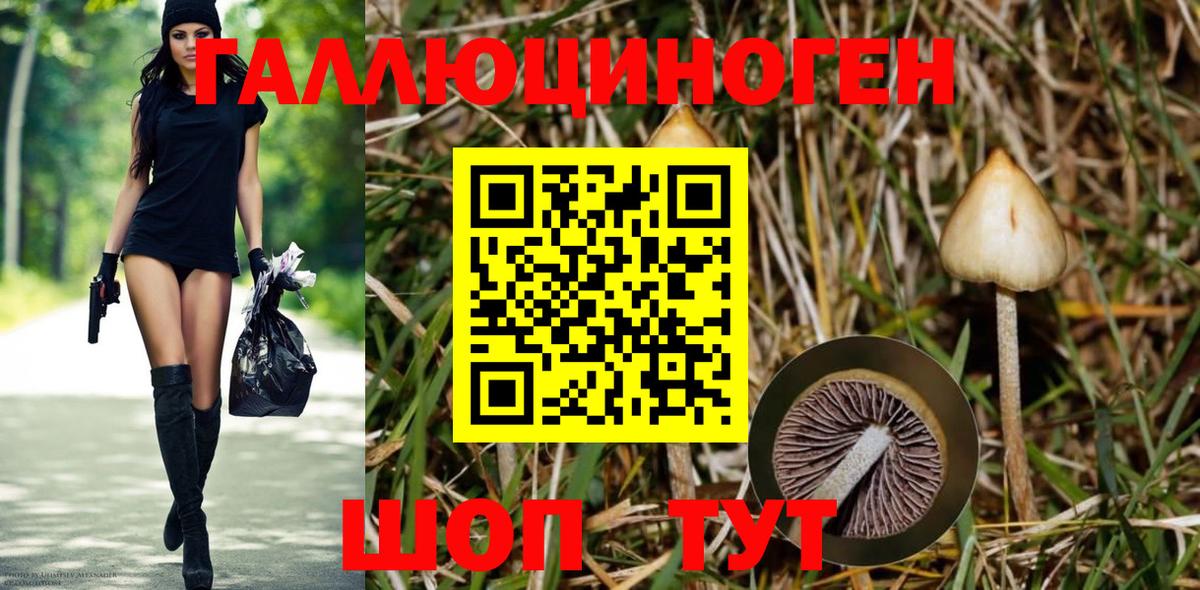 Коломна  Галлюциногенные грибы MAGIC MUSHROOMS  Вход с VPN 